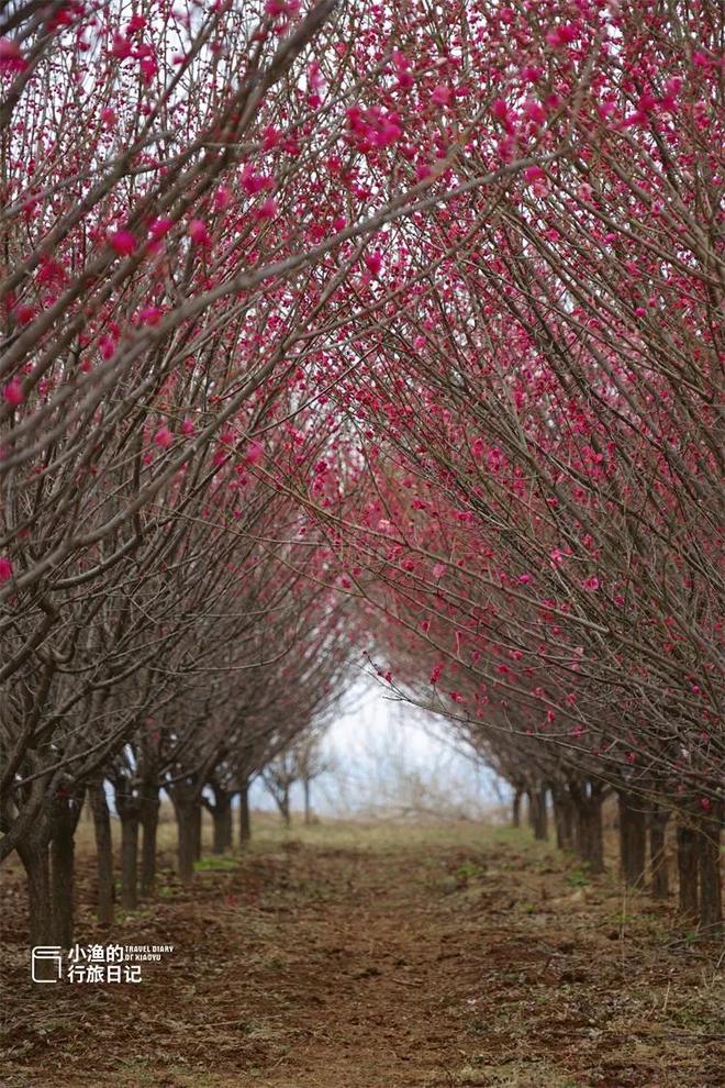 _东港安康村_使满意使愉快的英文