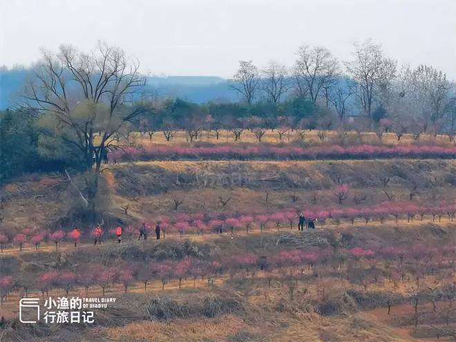 _东港安康村_使满意使愉快的英文