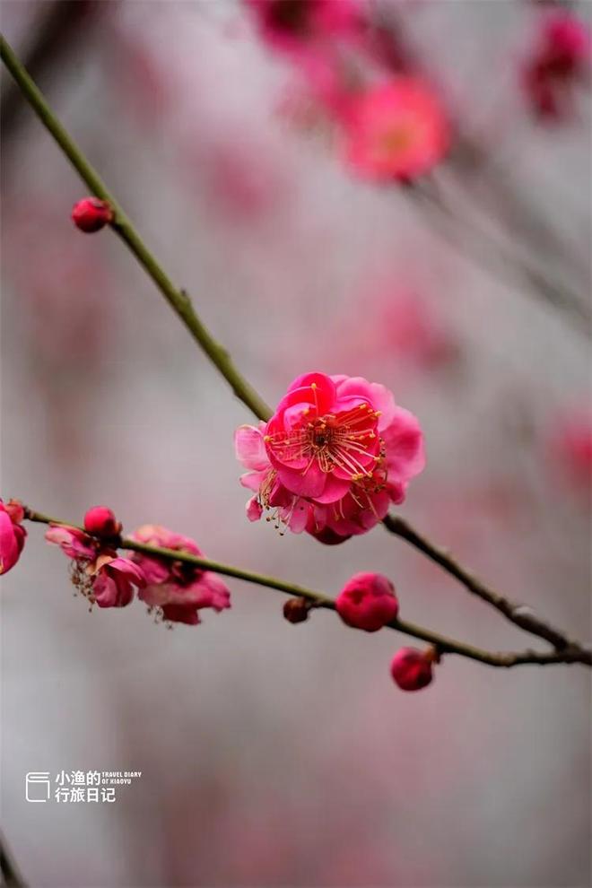 使满意使愉快的英文_东港安康村_