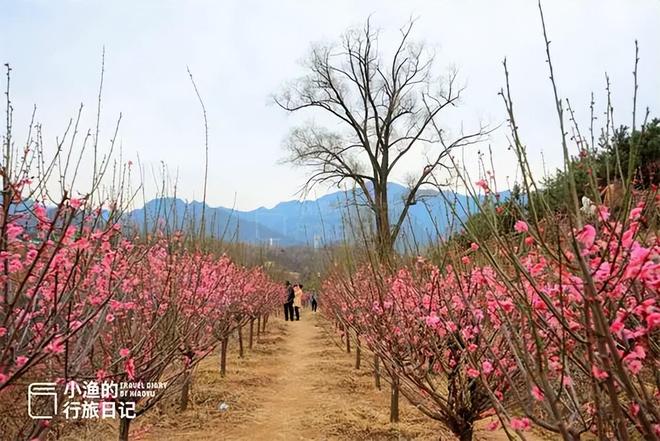 使满意使愉快的英文__东港安康村