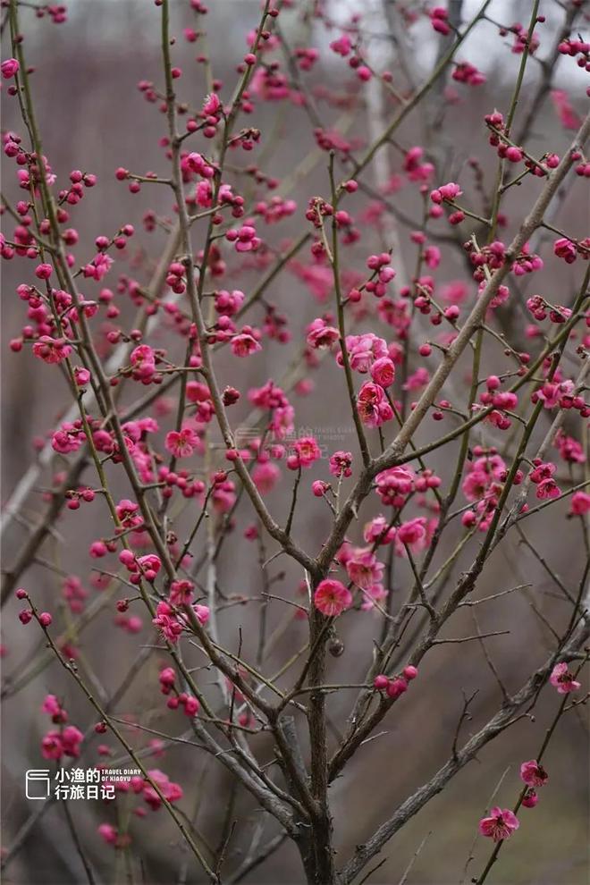 _东港安康村_使满意使愉快的英文