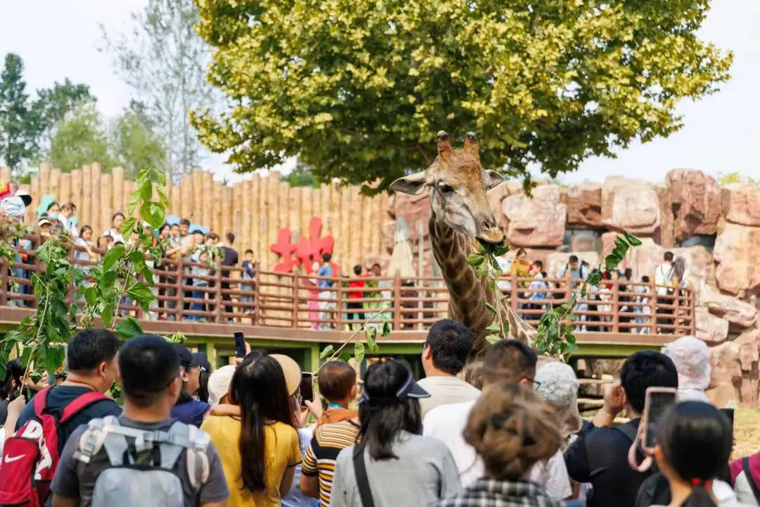 济南文旅发展集团：与城市同频共振，助城市释放活力__济南文旅发展集团：与城市同频共振，助城市释放活力