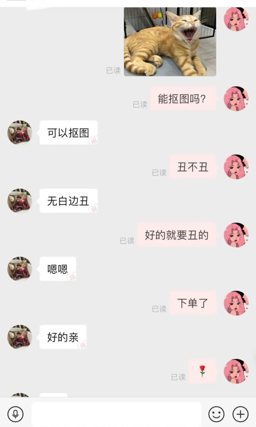 玩偶简单制作教程__香港网红打卡景点