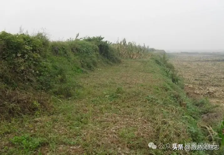 山东为什么都是农村__山东将村庄分为