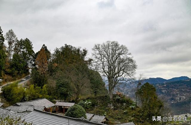 老君山现云海奇观_重庆最美绿道_