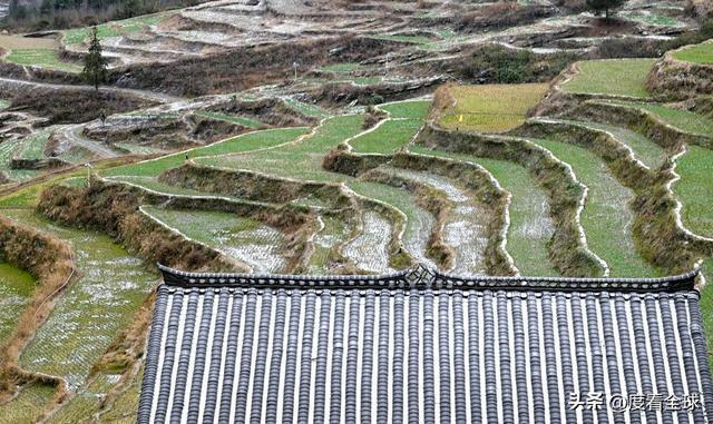 重庆最美绿道__老君山现云海奇观