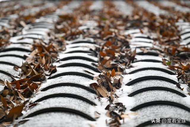 重庆最美绿道_老君山现云海奇观_