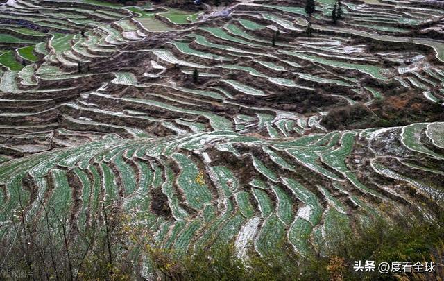 _老君山现云海奇观_重庆最美绿道