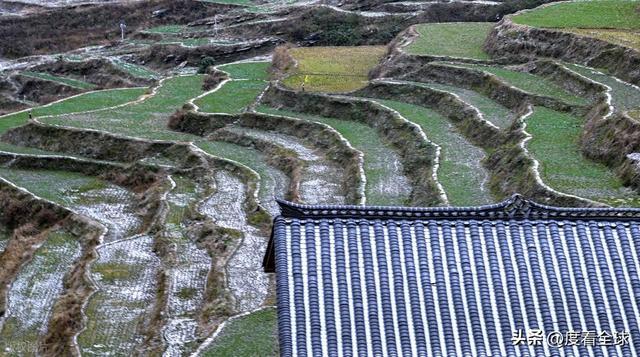 _重庆最美绿道_老君山现云海奇观