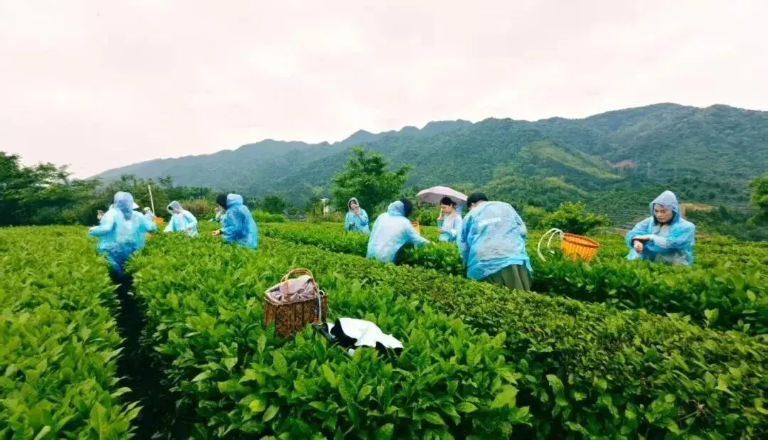 湖南非遗协会_湖南非遗保护中心_