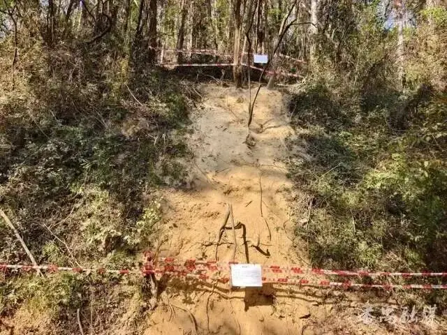 马年“画马”路线被紧急叫停！_马年“画马”路线被紧急叫停！_