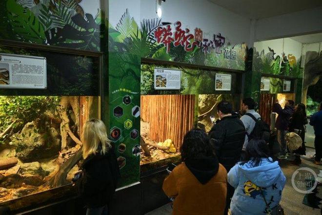 重庆动物__重庆动物圆