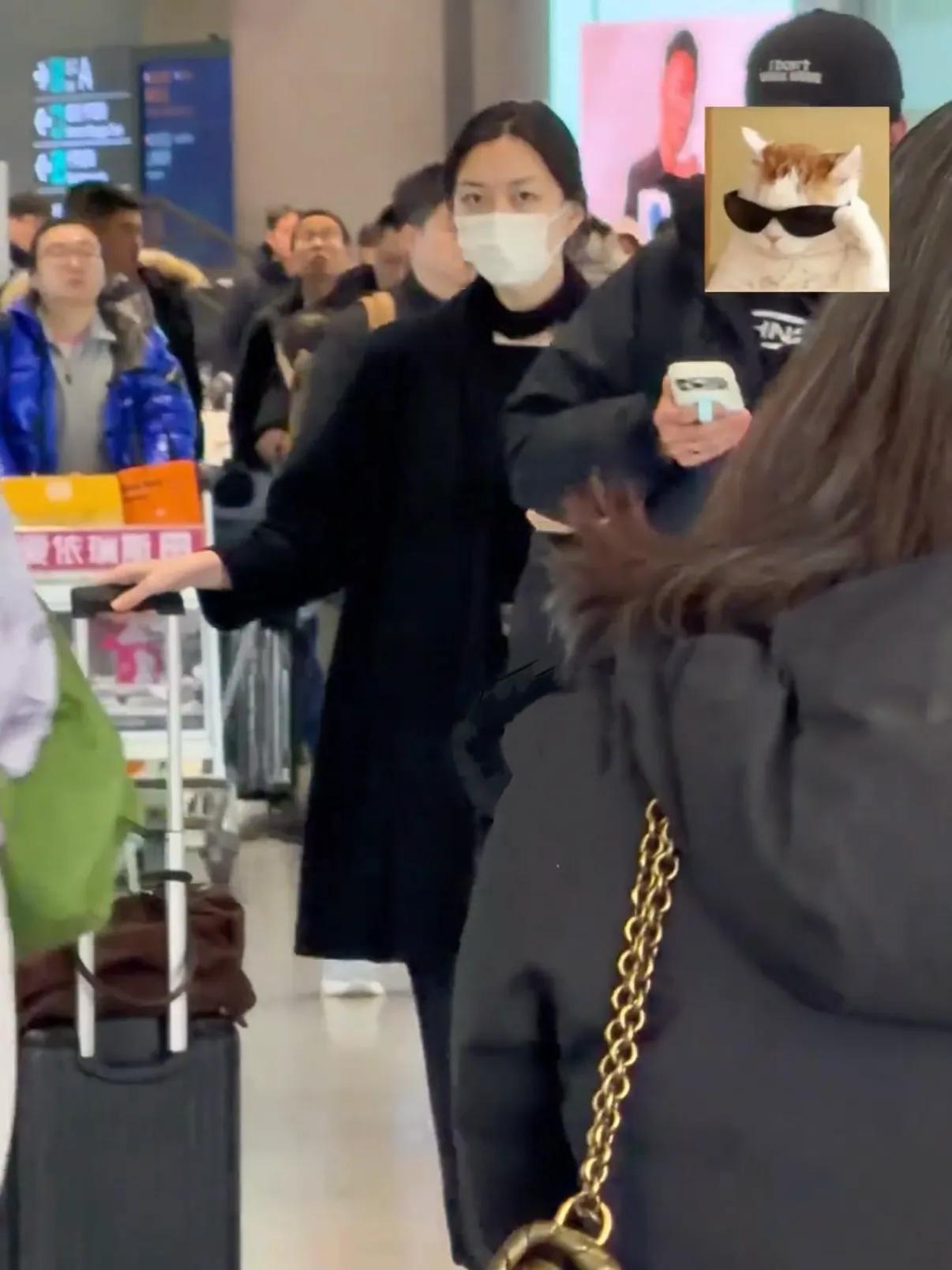 男演员王菲__王菲明星中的明星