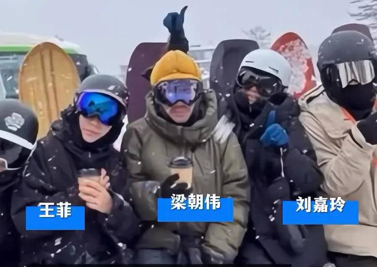 王菲明星中的明星_男演员王菲_