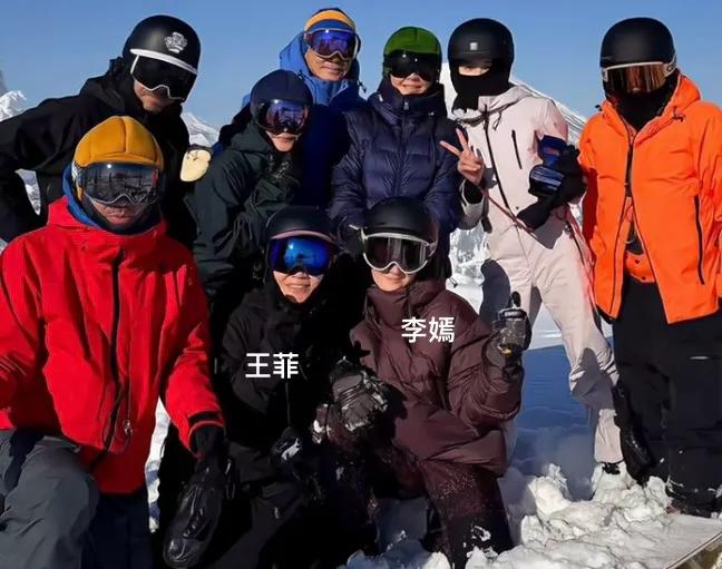 _王菲明星中的明星_男演员王菲