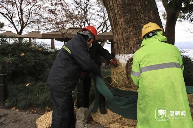 西湖断桥门票多少钱一张_西湖断桥要买票吗_