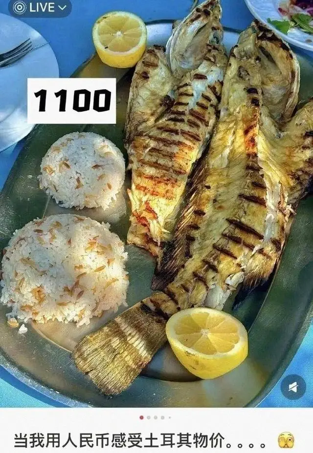 土耳其签证情况2021_土耳其签证官方网站_