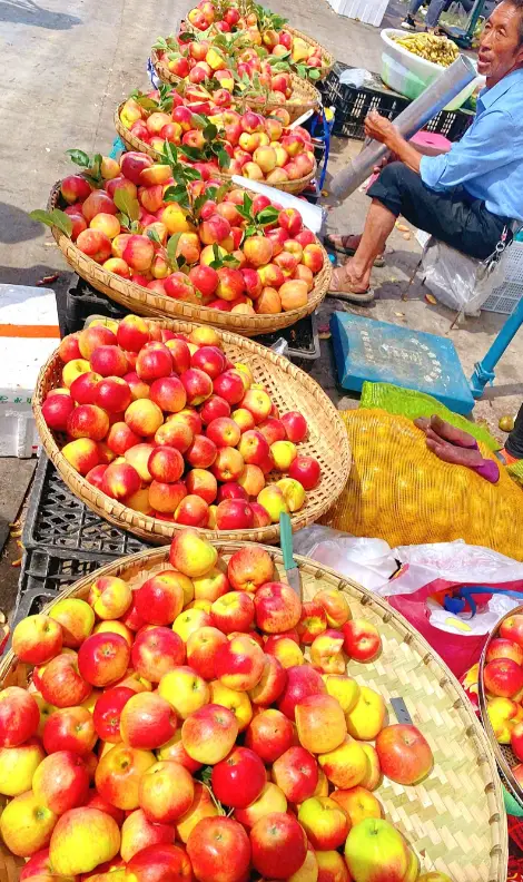 “昭通，你真不用吹” 游客亲历：温度会骗人，物价很老实，生活很顺心__“昭通，你真不用吹” 游客亲历：温度会骗人，物价很老实，生活很顺心