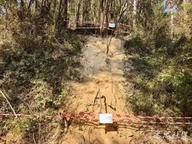 马走山路怎么样__马年“画马”徒步路线被紧急叫停！