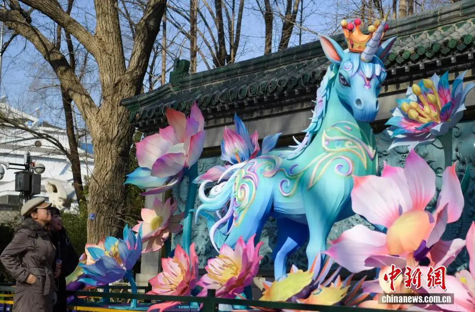 _济南迎春花开了_济南元宵花灯