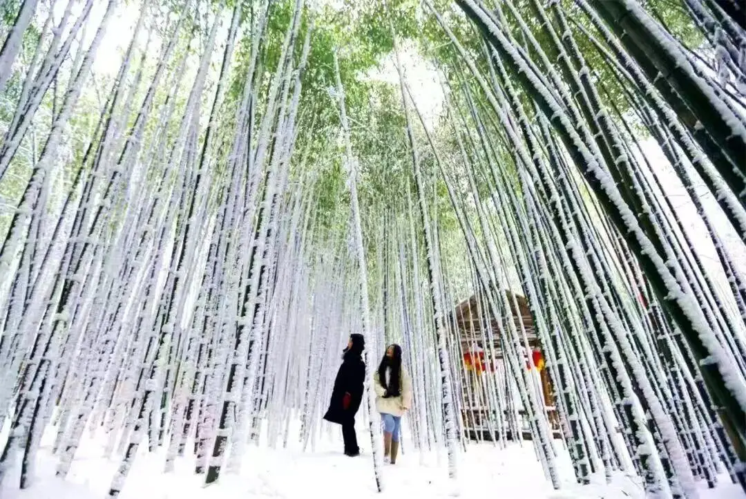 _“冬享沂蒙过大年”推出民俗之旅，邀您赴一场山水烟火暖冬之约_“冬享沂蒙过大年”推出民俗之旅，邀您赴一场山水烟火暖冬之约