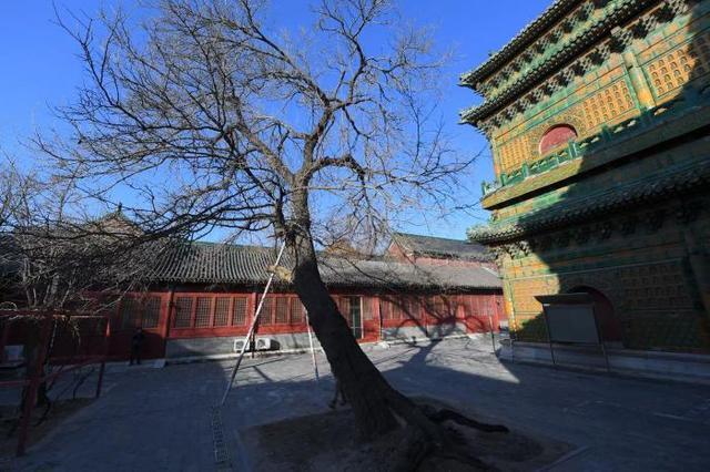 琉璃阁北海_北海公园琉璃阁老照片_