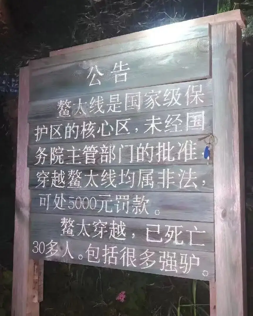 秦岭鳌太穿越驴友失踪_驴友们经常走的黄山_