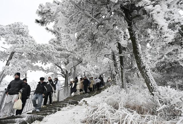 南方人看雪新地标!不用去东北,庐山雾凇 + 云海,美得像童话!__南方人看雪新地标!不用去东北,庐山雾凇 + 云海,美得像童话!