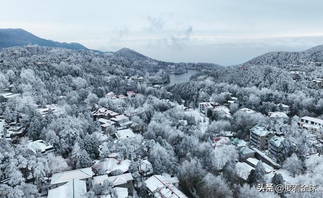 南方人看雪新地标!不用去东北,庐山雾凇 + 云海,美得像童话!_南方人看雪新地标!不用去东北,庐山雾凇 + 云海,美得像童话!_