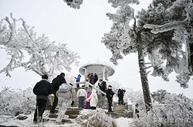 南方人看雪新地标!不用去东北,庐山雾凇 + 云海,美得像童话!__南方人看雪新地标!不用去东北,庐山雾凇 + 云海,美得像童话!