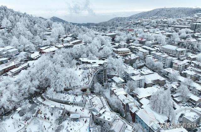 南方人看雪新地标!不用去东北,庐山雾凇 + 云海,美得像童话!_南方人看雪新地标!不用去东北,庐山雾凇 + 云海,美得像童话!_