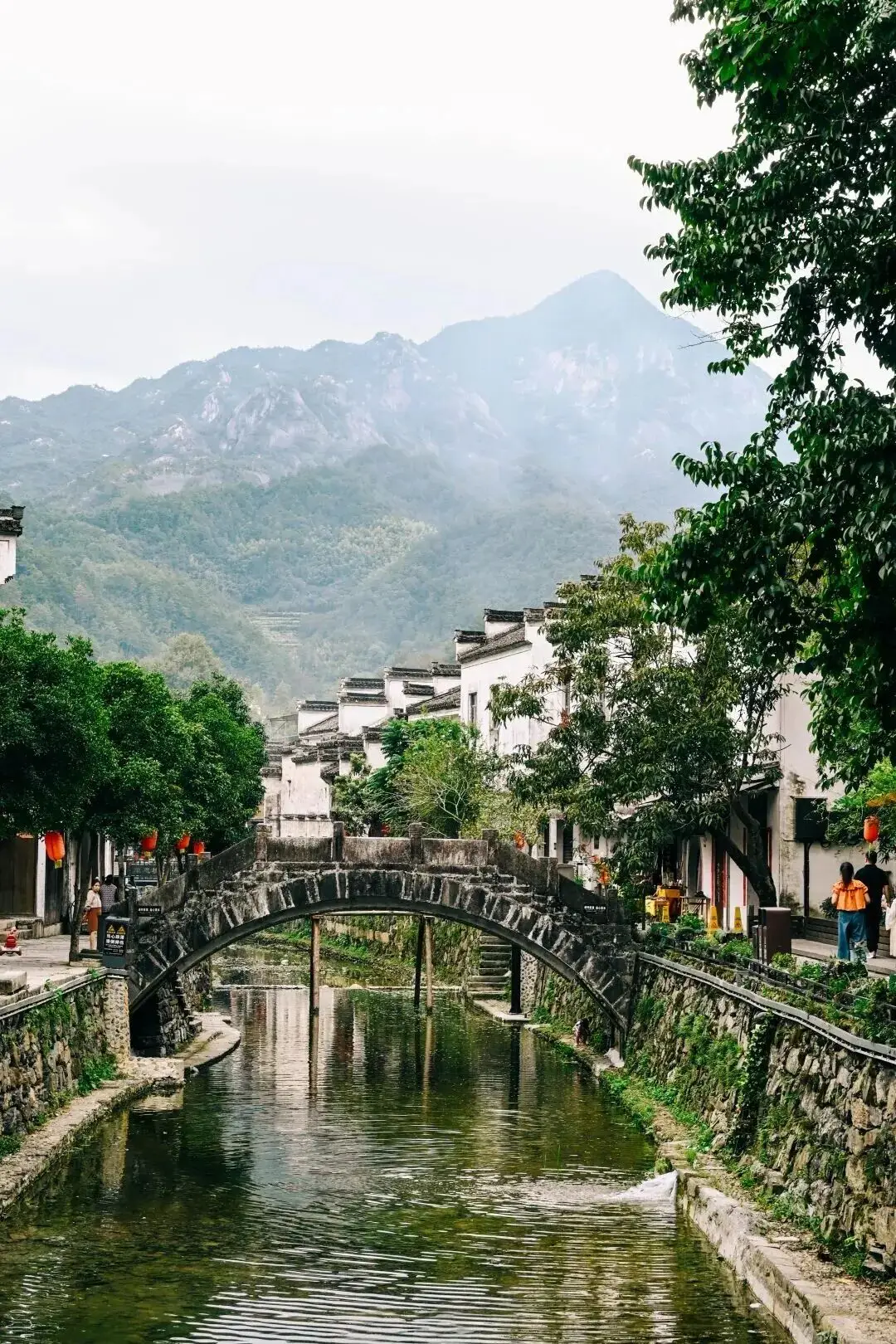 _辽宁省中医哪家医院好_战地5pc飞机设置