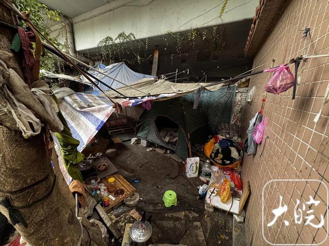 “一家三口”住在桥洞靠拾荒为生 广州当地街道回应:已开展身份核查并临时安置