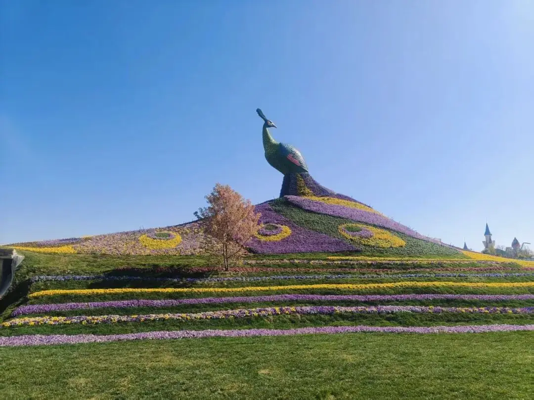 _昆明孔雀花坛在哪里_昆明孔雀园在什么地方