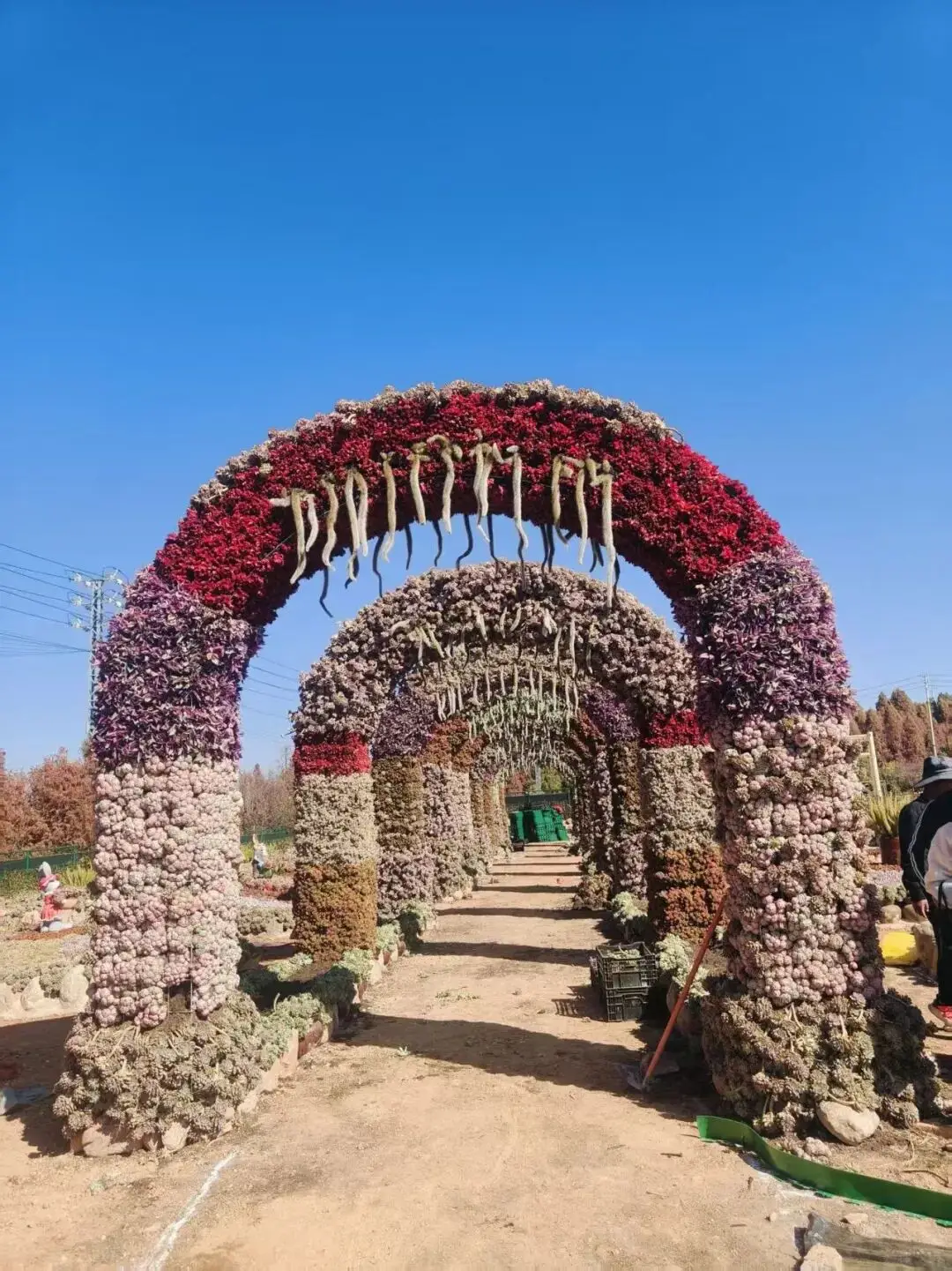 _昆明孔雀园在什么地方_昆明孔雀花坛在哪里