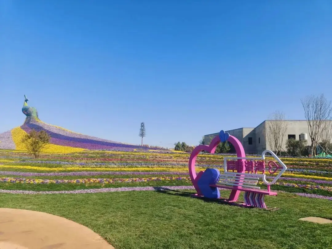 _昆明孔雀园在什么地方_昆明孔雀花坛在哪里