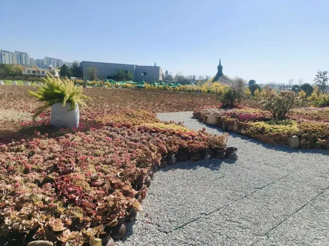 昆明孔雀花坛在哪里_昆明孔雀园在什么地方_