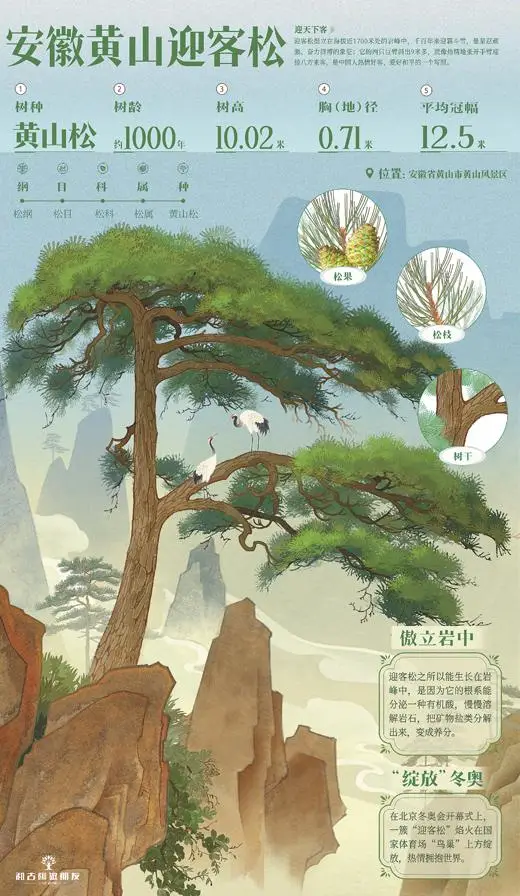 _激素六项雌二醇30_时光是永不回