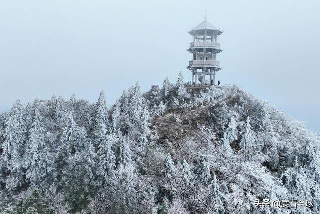 南国藏雪境！酉阳清华林场的冰雪奇缘，藏着重庆冬游的新答案__南国藏雪境！酉阳清华林场的冰雪奇缘，藏着重庆冬游的新答案