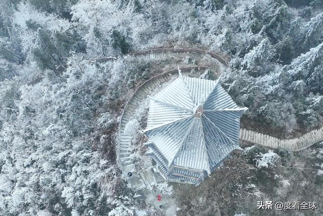 _南国藏雪境！酉阳清华林场的冰雪奇缘，藏着重庆冬游的新答案_南国藏雪境！酉阳清华林场的冰雪奇缘，藏着重庆冬游的新答案