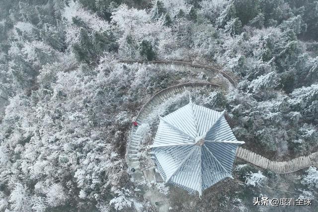 南国藏雪境！酉阳清华林场的冰雪奇缘，藏着重庆冬游的新答案_南国藏雪境！酉阳清华林场的冰雪奇缘，藏着重庆冬游的新答案_