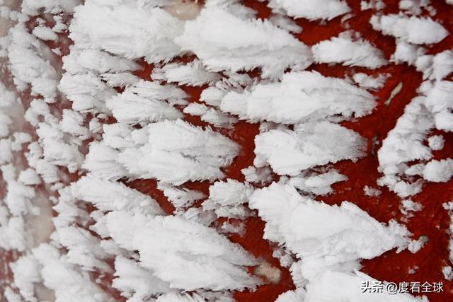 南国藏雪境！酉阳清华林场的冰雪奇缘，藏着重庆冬游的新答案_南国藏雪境！酉阳清华林场的冰雪奇缘，藏着重庆冬游的新答案_