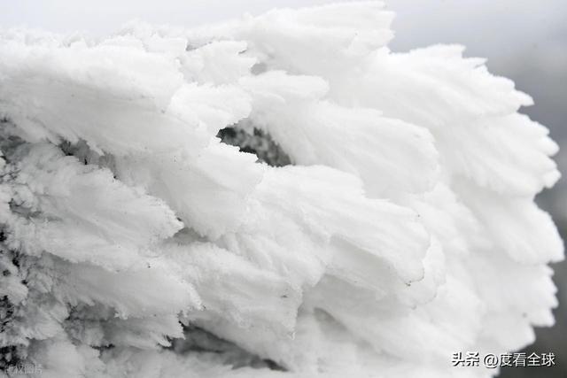 南国藏雪境！酉阳清华林场的冰雪奇缘，藏着重庆冬游的新答案_南国藏雪境！酉阳清华林场的冰雪奇缘，藏着重庆冬游的新答案_