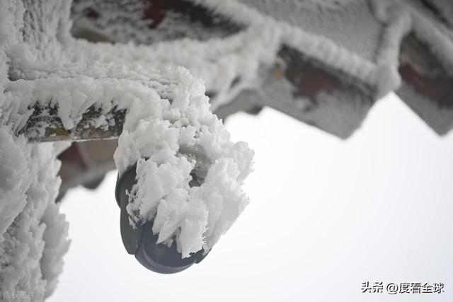 _南国藏雪境！酉阳清华林场的冰雪奇缘，藏着重庆冬游的新答案_南国藏雪境！酉阳清华林场的冰雪奇缘，藏着重庆冬游的新答案