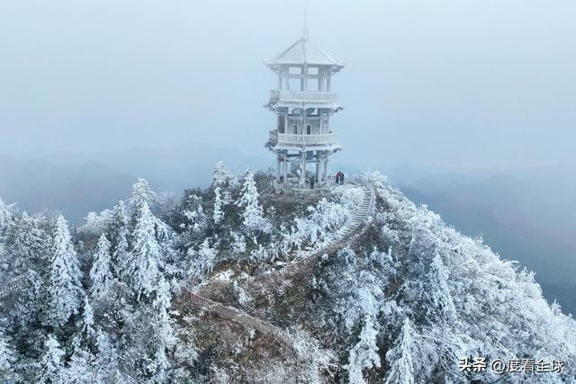 南国藏雪境！酉阳清华林场的冰雪奇缘，藏着重庆冬游的新答案__南国藏雪境！酉阳清华林场的冰雪奇缘，藏着重庆冬游的新答案
