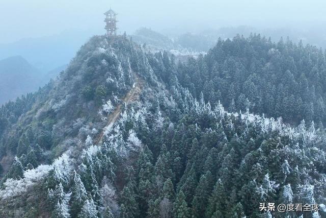 南国藏雪境！酉阳清华林场的冰雪奇缘，藏着重庆冬游的新答案_南国藏雪境！酉阳清华林场的冰雪奇缘，藏着重庆冬游的新答案_