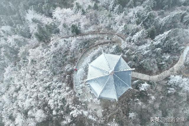 _南国藏雪境！酉阳清华林场的冰雪奇缘，藏着重庆冬游的新答案_南国藏雪境！酉阳清华林场的冰雪奇缘，藏着重庆冬游的新答案