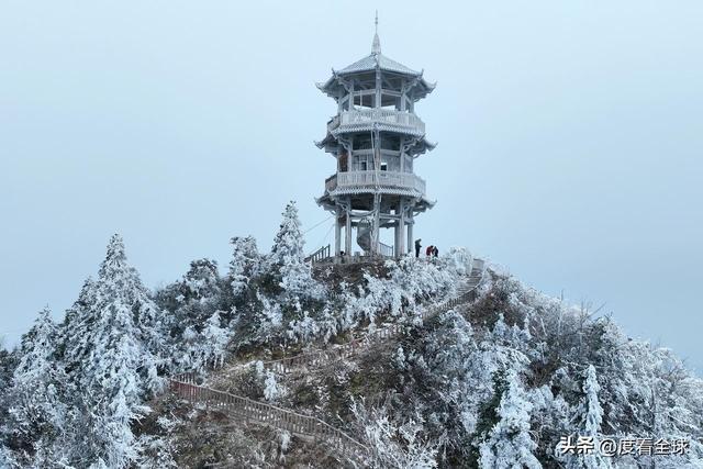 南国藏雪境！酉阳清华林场的冰雪奇缘，藏着重庆冬游的新答案_南国藏雪境！酉阳清华林场的冰雪奇缘，藏着重庆冬游的新答案_