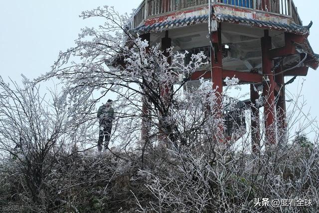 南国藏雪境！酉阳清华林场的冰雪奇缘，藏着重庆冬游的新答案__南国藏雪境！酉阳清华林场的冰雪奇缘，藏着重庆冬游的新答案