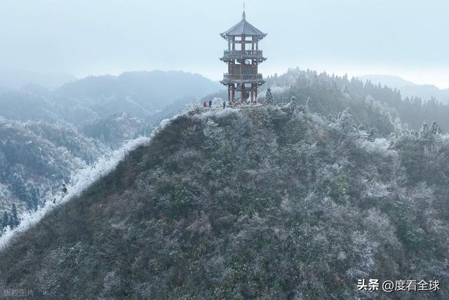 _南国藏雪境！酉阳清华林场的冰雪奇缘，藏着重庆冬游的新答案_南国藏雪境！酉阳清华林场的冰雪奇缘，藏着重庆冬游的新答案